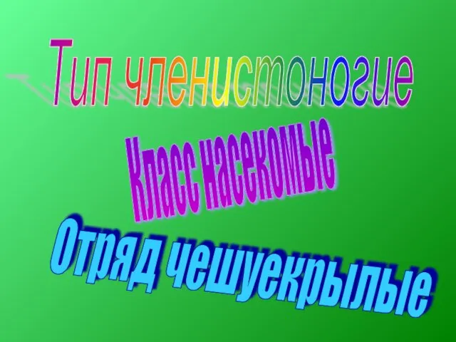 Тип членистоногие Класс насекомые Отряд чешуекрылые