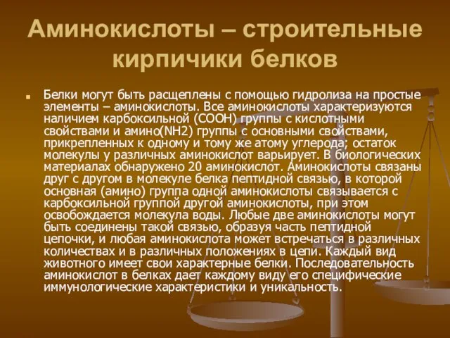 Аминокислоты – строительные кирпичики белков Белки могут быть расщеплены с помощью гидролиза