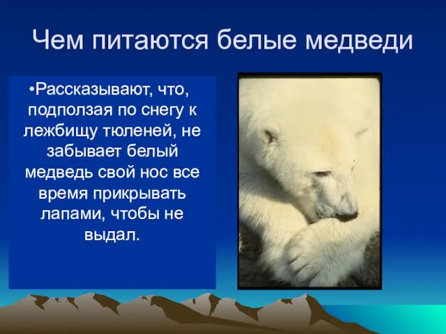 Чем питаются белые медведи В море ловит белый медведь рыбу, на льдинах