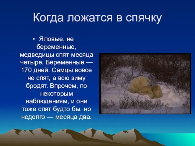 Когда ложатся в спячку Яловые, не беременные, медведицы спят месяца четыре. Беременные