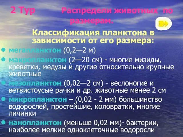 2 Тур Распредели животных по размерам. Классификация планктона в зависимости от его