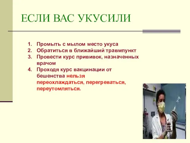 ЕСЛИ ВАС УКУСИЛИ Промыть с мылом место укуса Обратиться в ближайший травмпункт