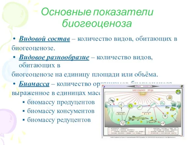 Основные показатели биогеоценоза Видовой состав – количество видов, обитающих в биогеоценозе. Видовое