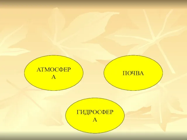 АТМОСФЕРА ПОЧВА ГИДРОСФЕРА