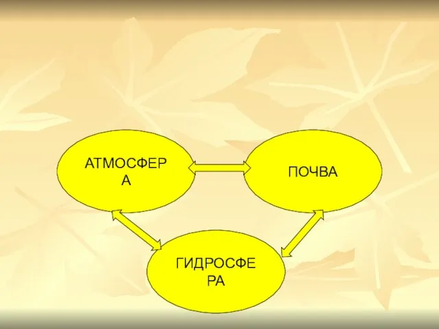 АТМОСФЕРА ПОЧВА ГИДРОСФЕРА