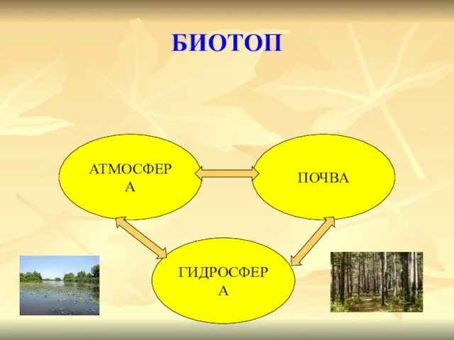 БИОТОП АТМОСФЕРА ПОЧВА ГИДРОСФЕРА