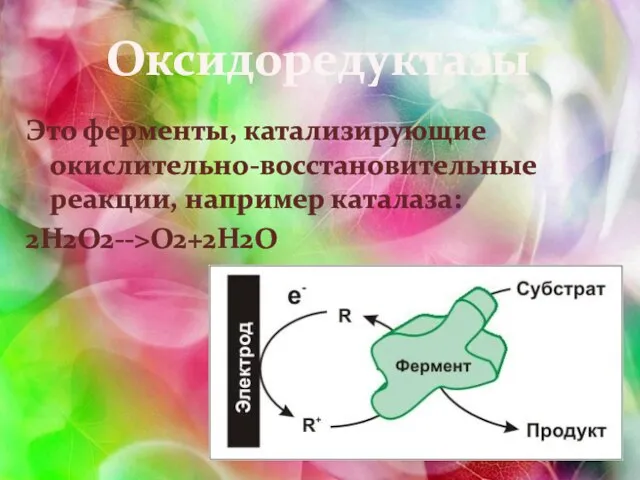 Оксидоредуктазы Это ферменты, катализирующие окислительно-восстановительные реакции, например каталаза: 2H2O2-->O2+2H2O