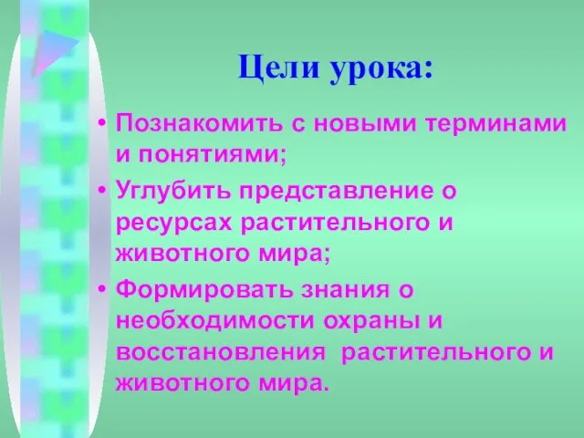 Цели урока: Познакомить с новыми терминами и понятиями; Углубить представление о ресурсах