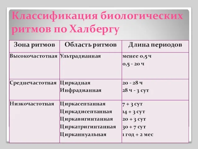 Классификация биологических ритмов по Халбергу