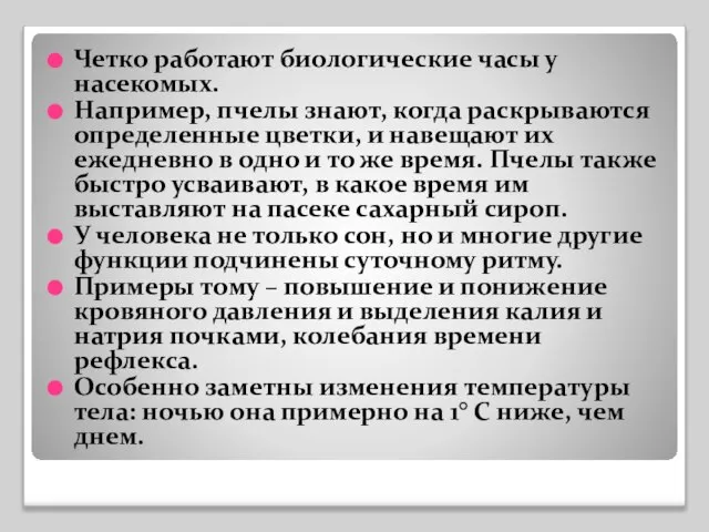 Четко работают биологические часы у насекомых. Например, пчелы знают, когда раскрываются определенные