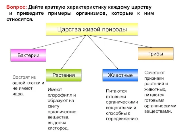 Царства живой природы Бактерии Грибы Растения Животные Состоят из одной клетки и