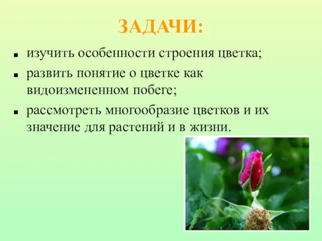 ЗАДАЧИ: изучить особенности строения цветка; развить понятие о цветке как видоизмененном побеге;