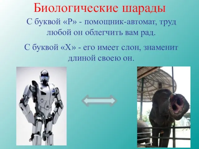 Биологические шарады С буквой «Р» - помощник-автомат, труд любой он облегчить вам