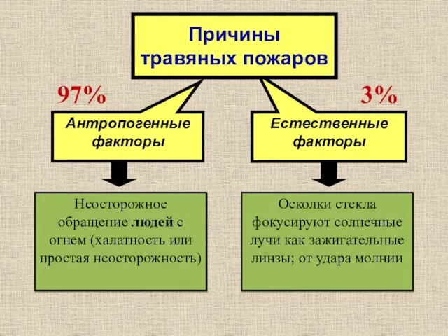 Естественные факторы Антропогенные факторы Причины травяных пожаров 3% 97% Осколки стекла фокусируют