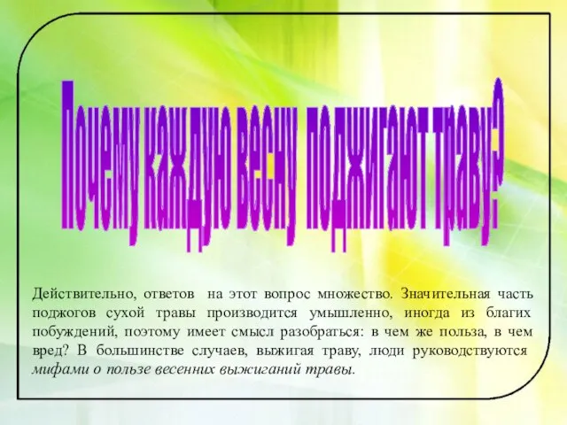 Почему каждую весну поджигают траву? Действительно, ответов на этот вопрос множество. Значительная