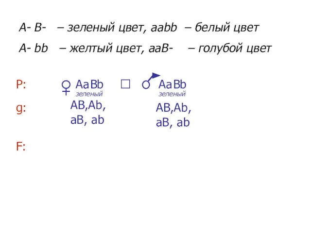 A В а b А В а b A- B- – зеленый