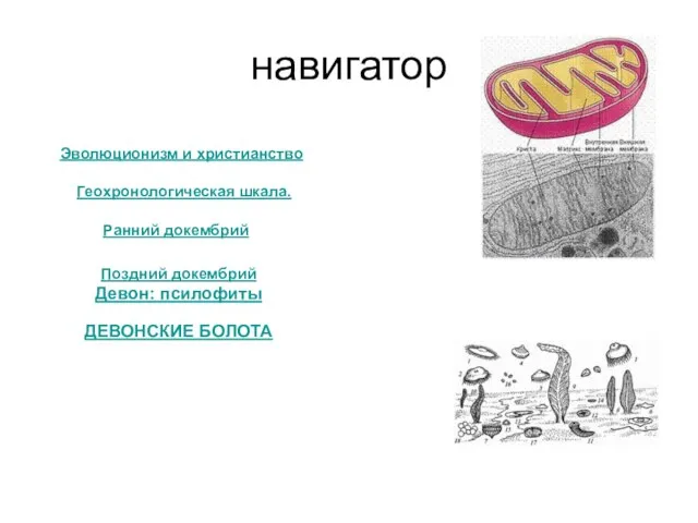 навигатор Эволюционизм и христианство Геохронологическая шкала. Ранний докембрий Поздний докембрий Девон: псилофиты ДЕВОНСКИЕ БОЛОТА