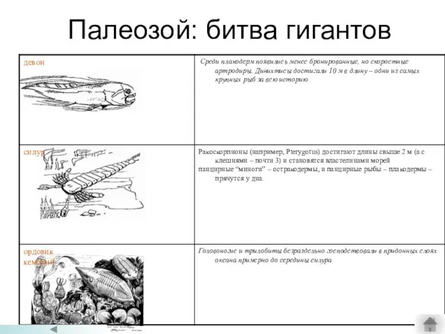 Палеозой: битва гигантов