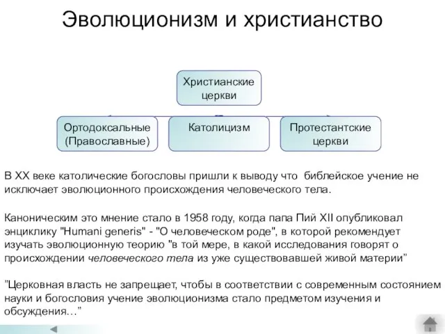 Эволюционизм и христианство В XX веке католические богословы пришли к выводу что