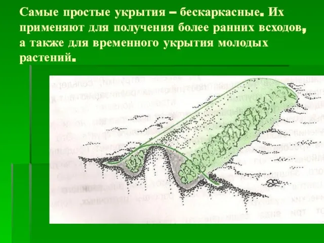 Самые простые укрытия – бескаркасные. Их применяют для получения более ранних всходов,