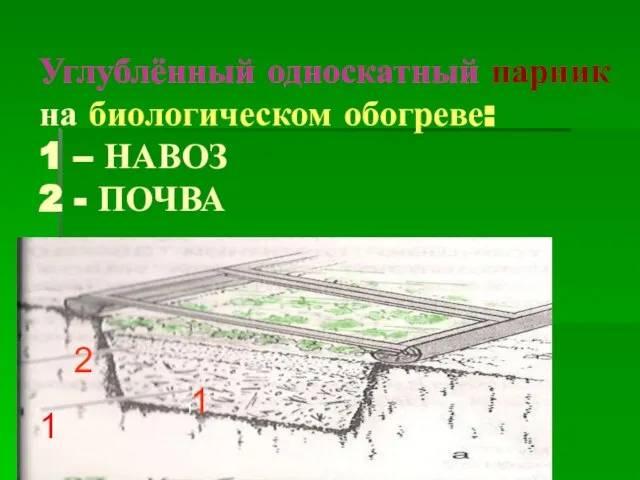 Углублённый односкатный парник на биологическом обогреве: 1 – НАВОЗ 2 - ПОЧВА 2 !1 1 1