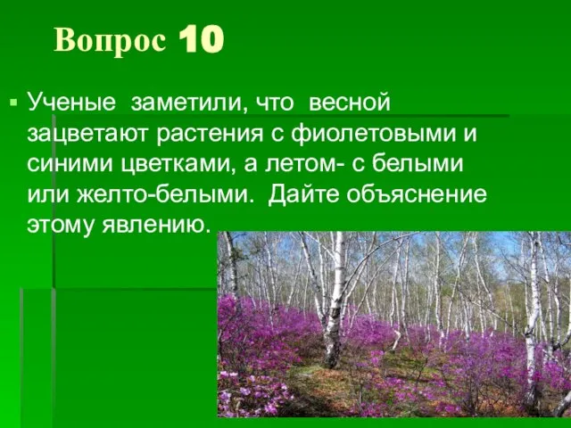 Вопрос 10 Ученые заметили, что весной зацветают растения с фиолетовыми и синими