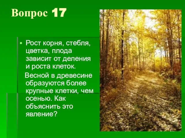 Вопрос 17 Рост корня, стебля, цветка, плода зависит от деления и роста