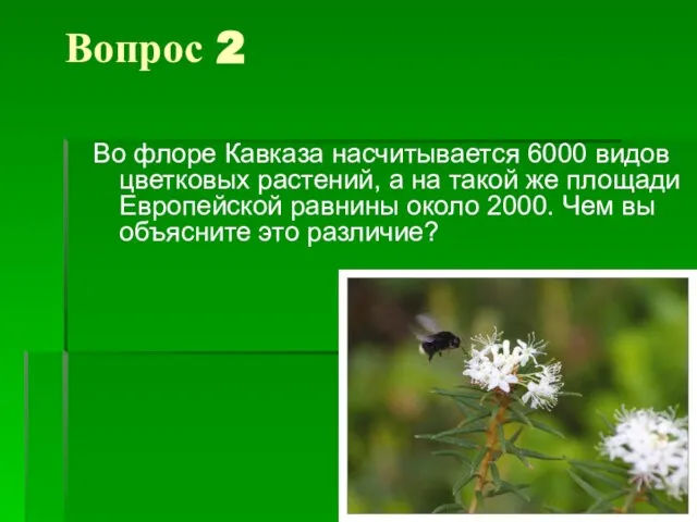 Вопрос 2 Во флоре Кавказа насчитывается 6000 видов цветковых растений, а на