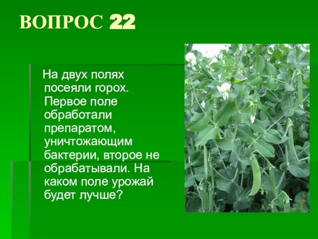 ВОПРОС 22 На двух полях посеяли горох. Первое поле обработали препаратом, уничтожающим