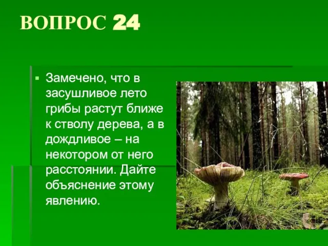 ВОПРОС 24 Замечено, что в засушливое лето грибы растут ближе к стволу