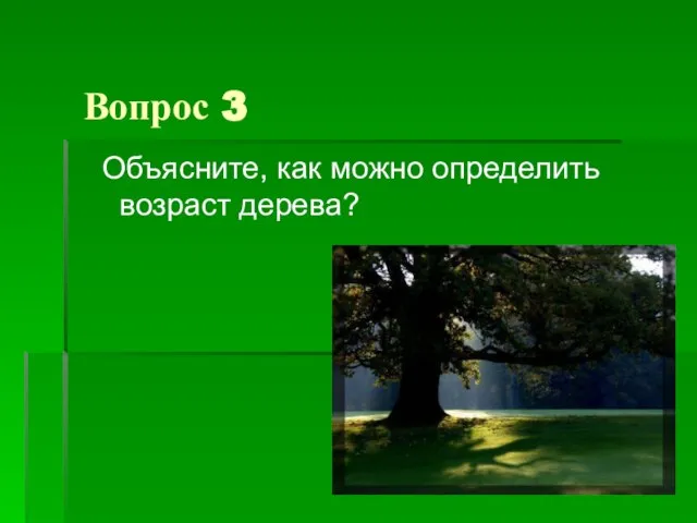 Вопрос 3 Объясните, как можно определить возраст дерева?