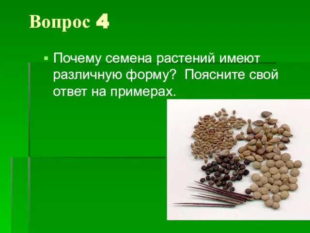 Вопрос 4 Почему семена растений имеют различную форму? Поясните свой ответ на примерах.