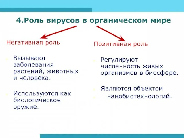 4.Роль вирусов в органическом мире Негативная роль Вызывают заболевания растений, животных и