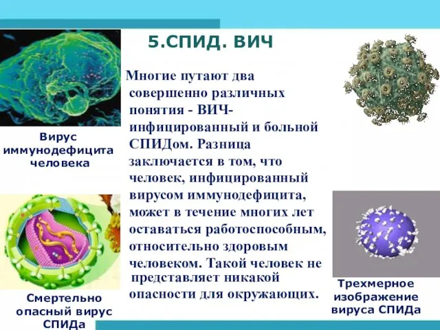 Многие путают два совершенно различных понятия - ВИЧ- инфицированный и больной СПИДом.