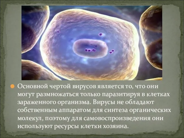 Основной чертой вирусов является то, что они могут размножаться только паразитируя в