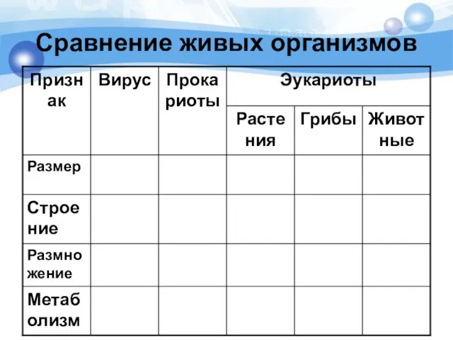 Сравнение живых организмов