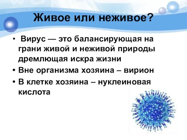 Живое или неживое? Вирус — это балансирующая на грани живой и неживой