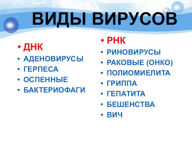 ВИДЫ ВИРУСОВ ДНК АДЕНОВИРУСЫ ГЕРПЕСА ОСПЕННЫЕ БАКТЕРИОФАГИ РНК РИНОВИРУСЫ РАКОВЫЕ (ОНКО) ПОЛИОМИЕЛИТА ГРИППА ГЕПАТИТА БЕШЕНСТВА ВИЧ