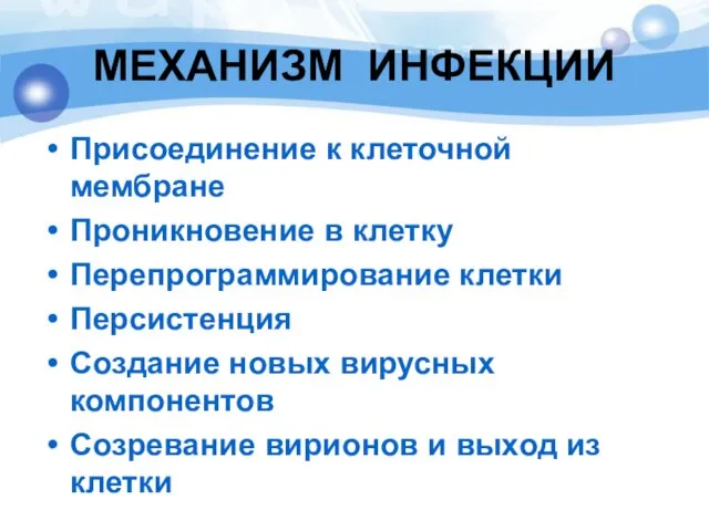 МЕХАНИЗМ ИНФЕКЦИИ Присоединение к клеточной мембране Проникновение в клетку Перепрограммирование клетки Персистенция