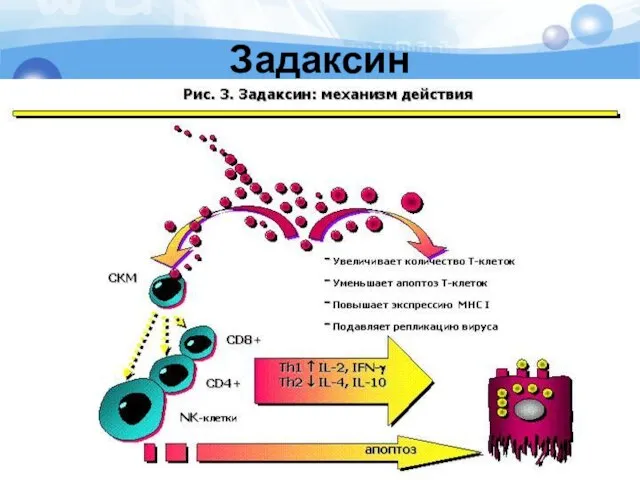 Задаксин