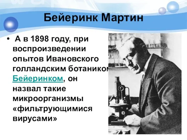 Бейеринк Мартин А в 1898 году, при воспроизведении опытов Ивановского голландским ботаником