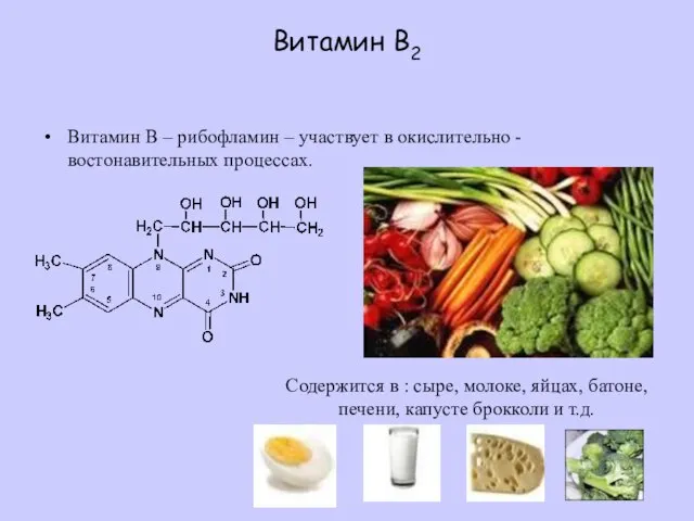 Витамин В2 Витамин В – рибофламин – участвует в окислительно - востонавительных
