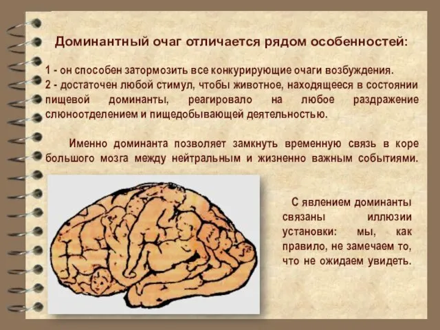 Доминантный очаг отличается рядом особенностей: 1 - он способен затормозить все конкурирующие