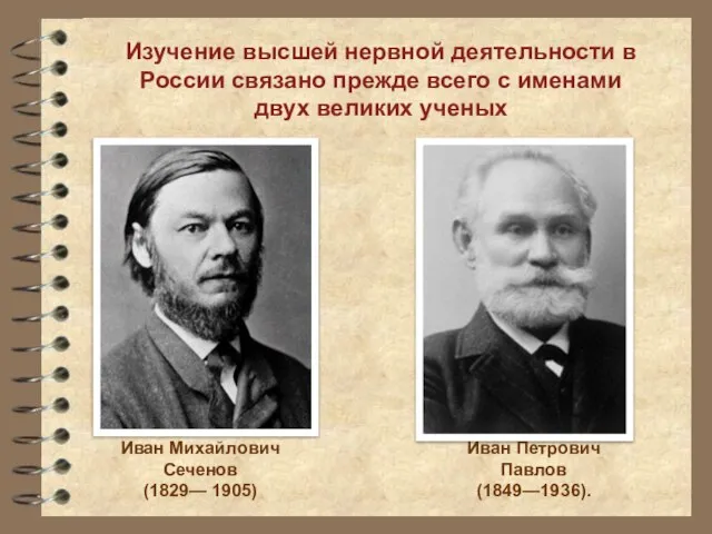 Изучение высшей нервной деятельности в России связано прежде всего с именами двух великих ученых