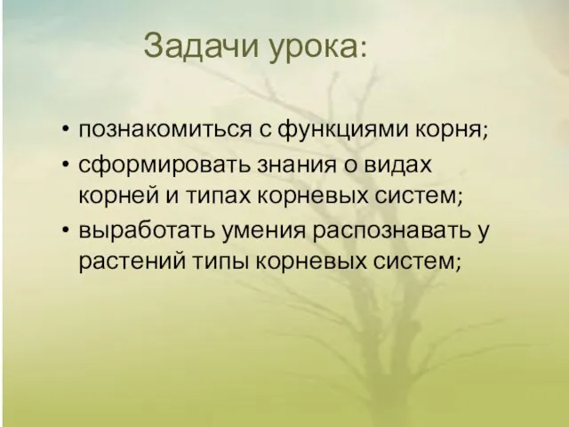 Задачи урока: познакомиться с функциями корня; сформировать знания о видах корней и