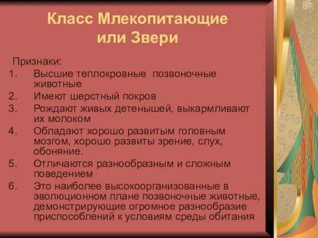 Класс Млекопитающие или Звери Признаки: Высшие теплокровные позвоночные животные Имеют шерстный покров