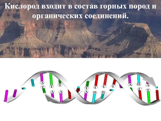 Кислород входит в состав горных пород и органических соединений.