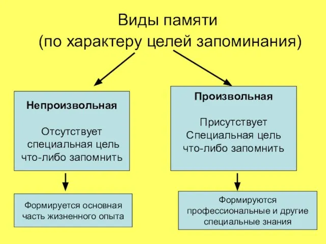 Виды памяти (по характеру целей запоминания) Непроизвольная Отсутствует специальная цель что-либо запомнить