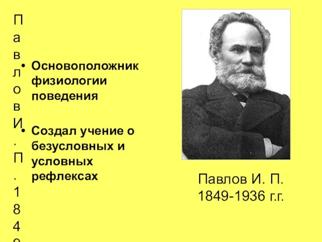 Павлов И. П. 1849-1936 г.г. Основоположник физиологии поведения Создал учение о безусловных
