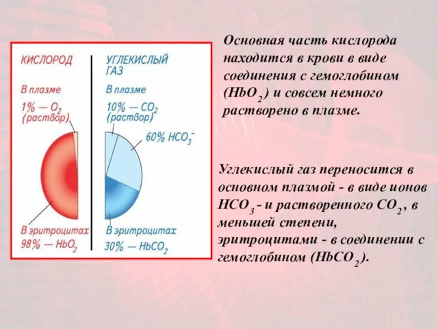 Основная часть кислорода находится в крови в виде соединения с гемоглобином (HbO2